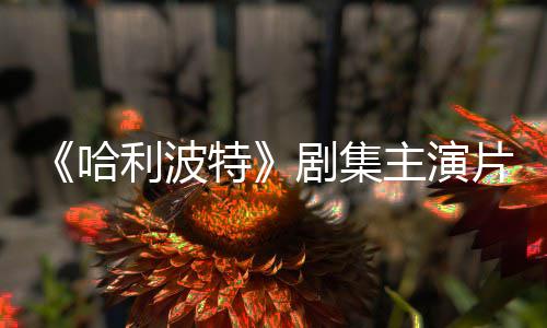 二季片酬曝光特第利波哈百万剧集就成富翁主演