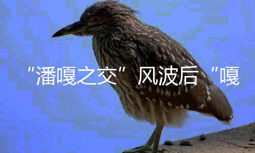 谢潘嘎之嘎子带货孟伟后交风波封直播再被