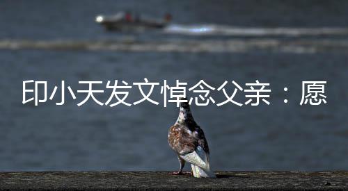 心念父天发的开边过文悼印小愿您在那亲